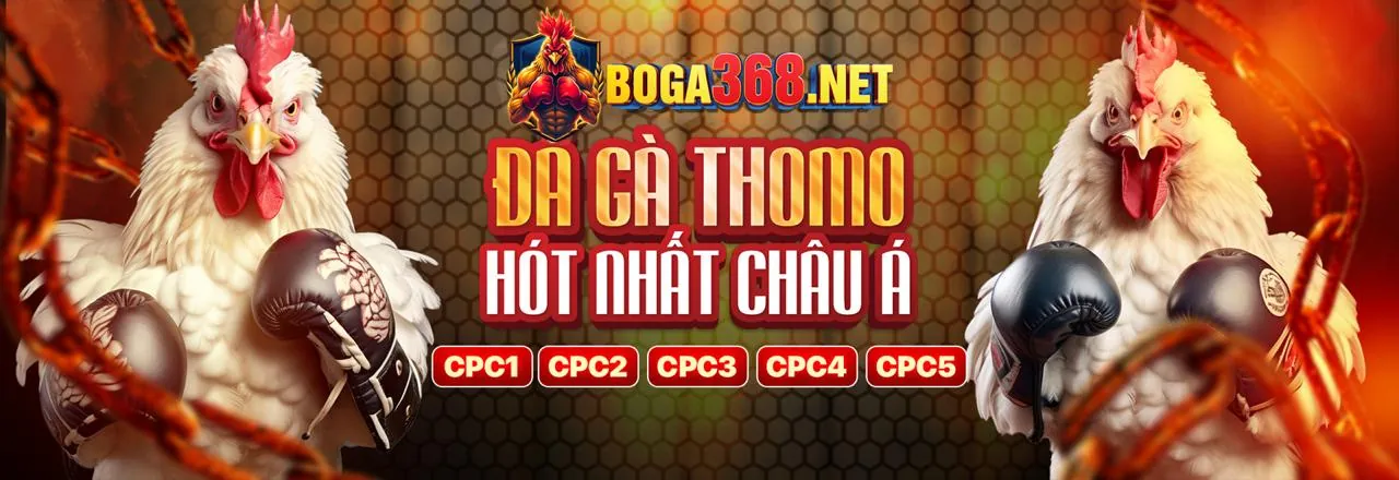 Đá gà trực tuyến i9bet100 login